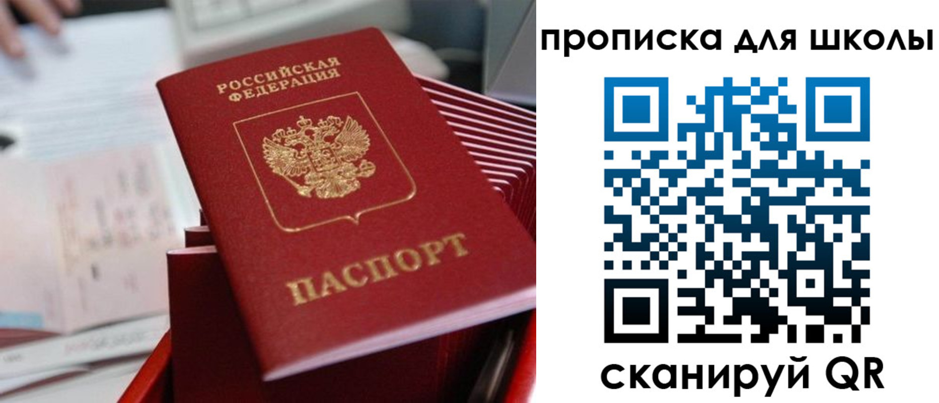 прописка для школы в Лыткарино